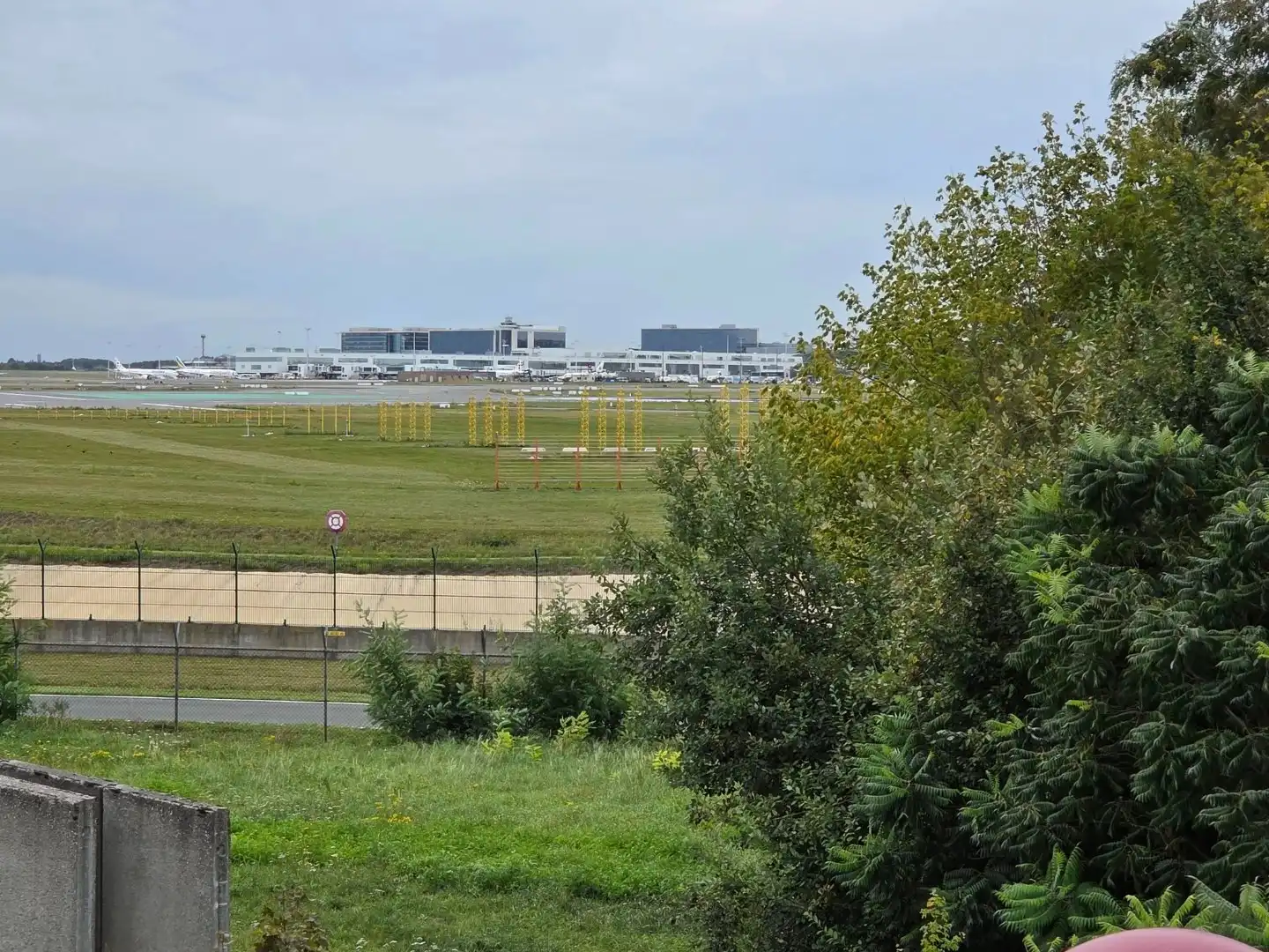 Hier zie je ze vliegen 😊  foto 16