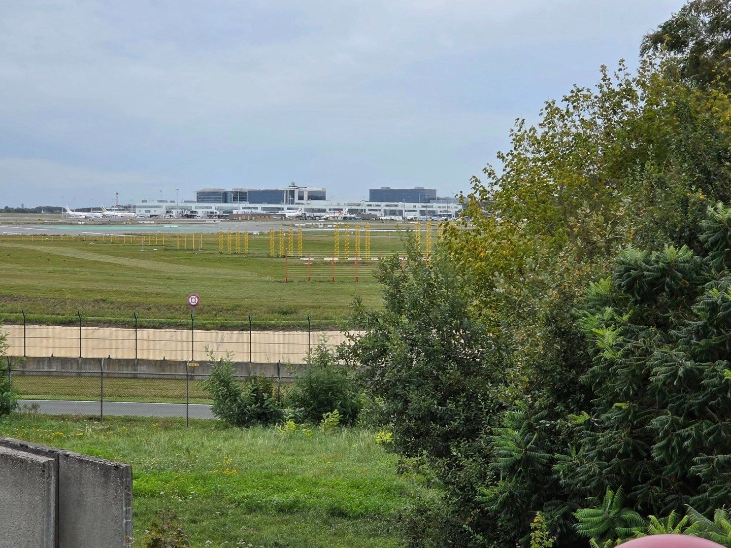 Hier zie je ze vliegen 😊  foto 16