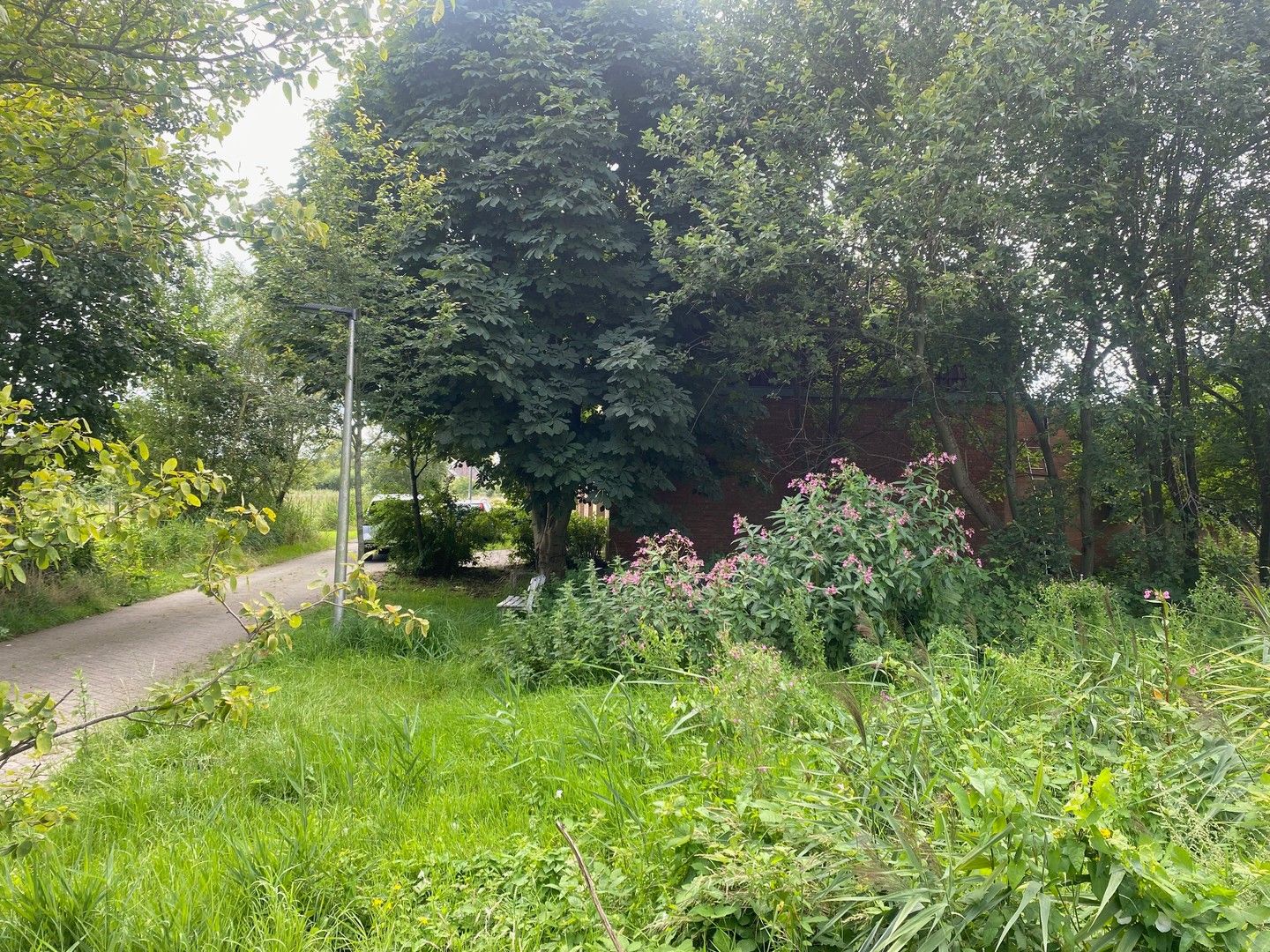 Rustig gelegen & zuid-west georiënteerde bouwgrond met uitzicht op groen. foto 6