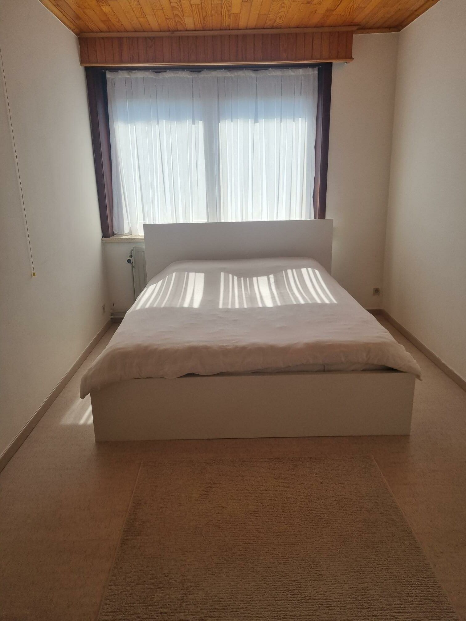 Gezellige woning met patio nabij het centrum Sint-Niklaas foto 12