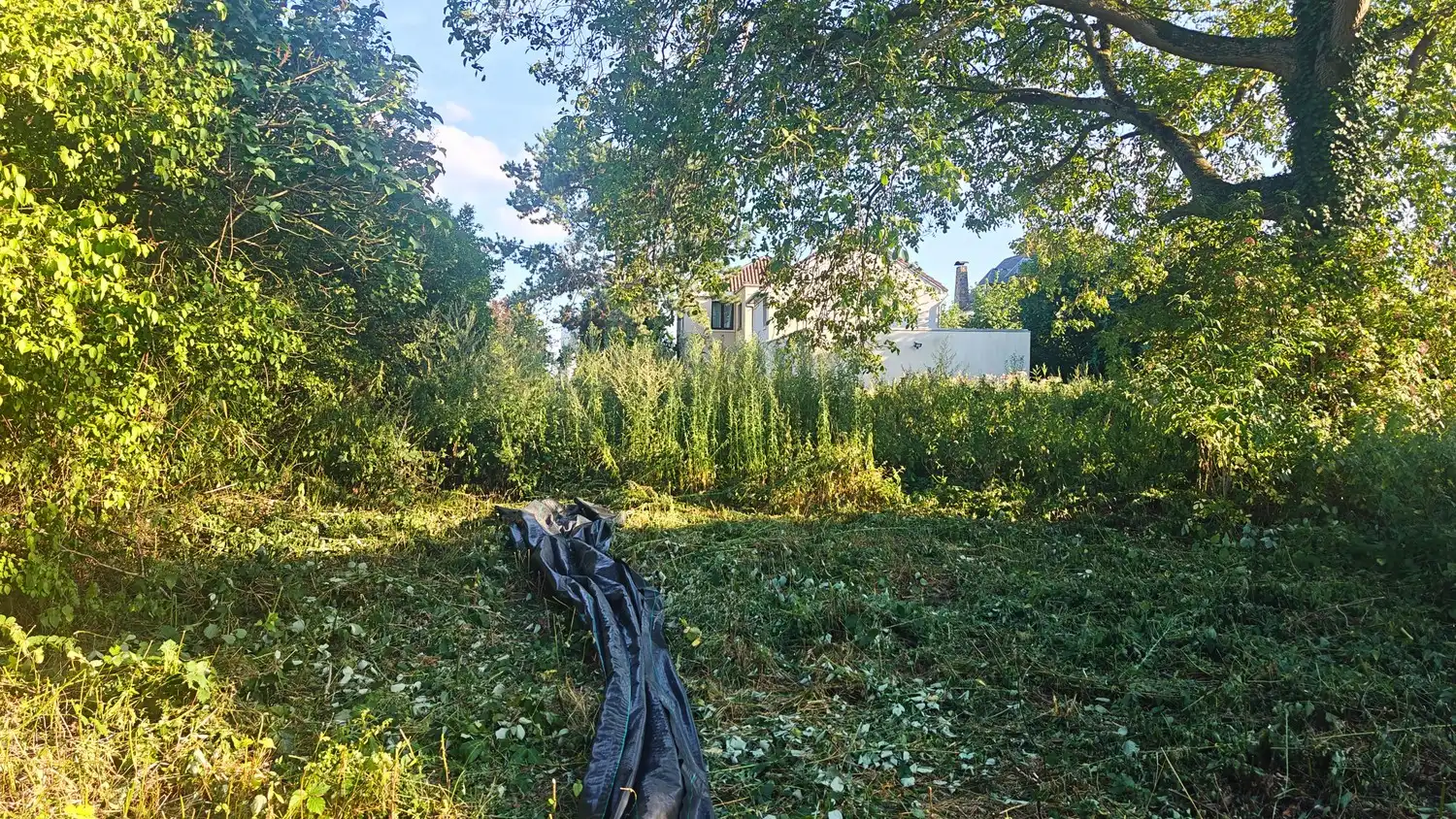 Rustig gelegen bouwgrond voor halfopen bebouwing met zuidgerichte tuin te Sint-Pieters-Leeuw foto 3