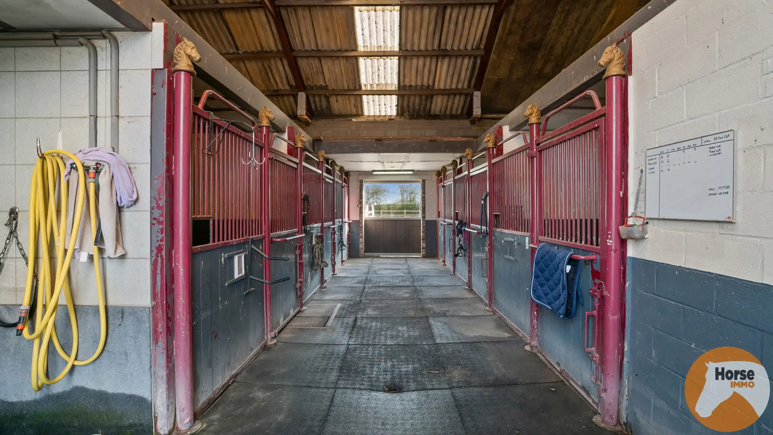 BORNEM – Professionele paardenaccommodatie met villa op 3HA foto 44