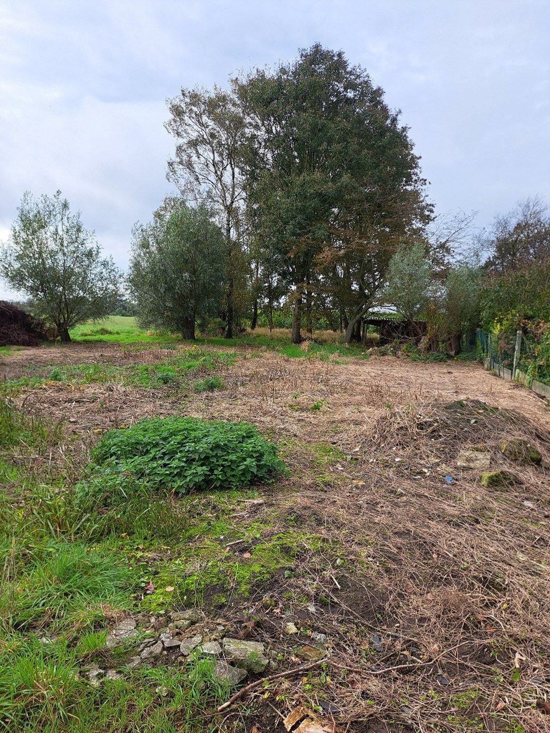 Grond voor alleenstaande woning te Kortemark foto 11