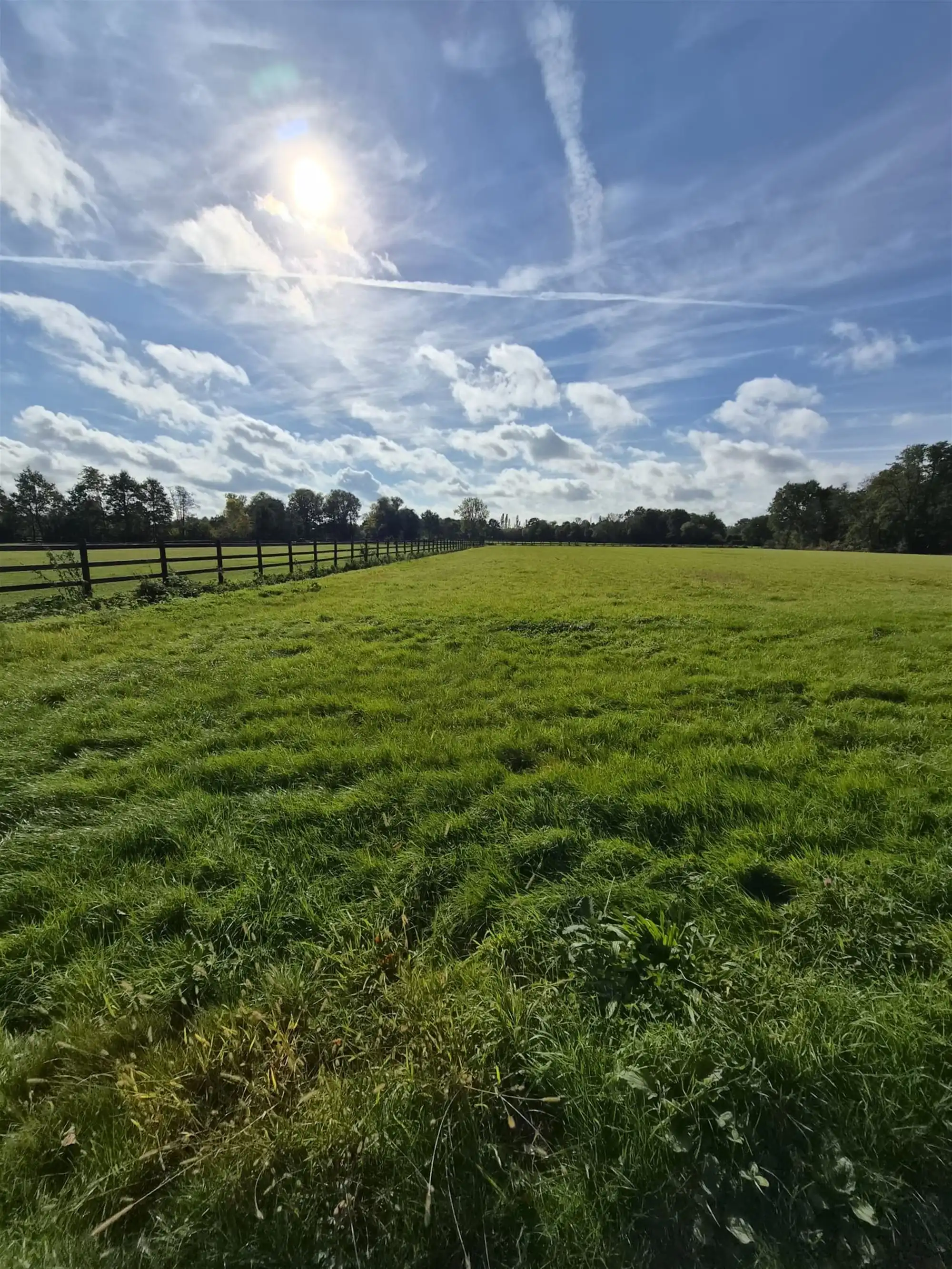 Landbouwgrond foto 5