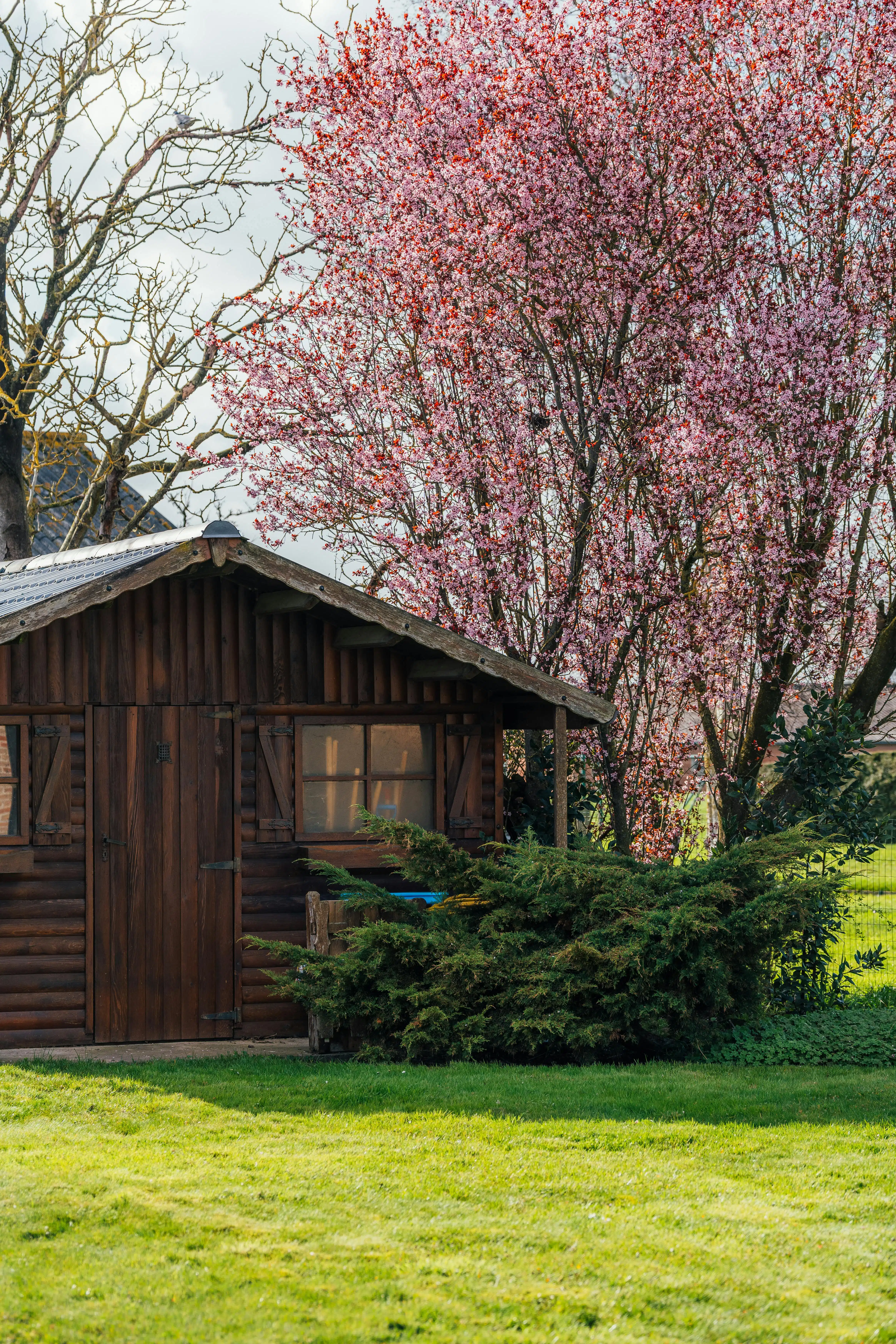 Alleenstaand huis te koop op een toplocatie in Poperinge foto 24