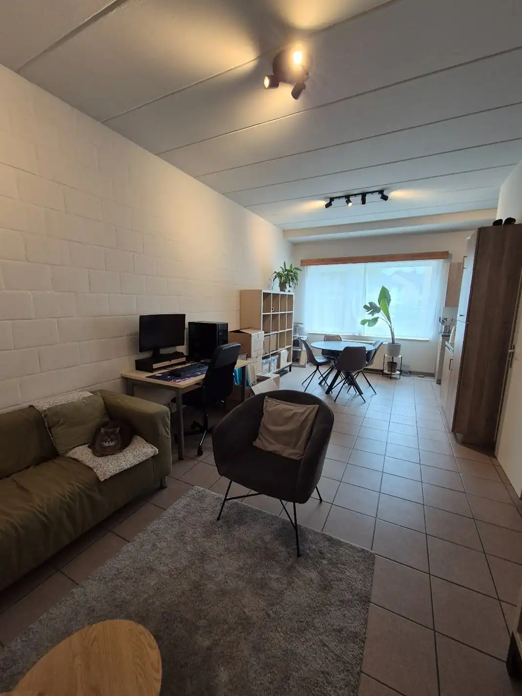 Gelijkvloers appartement met terras en autostandplaats foto 2