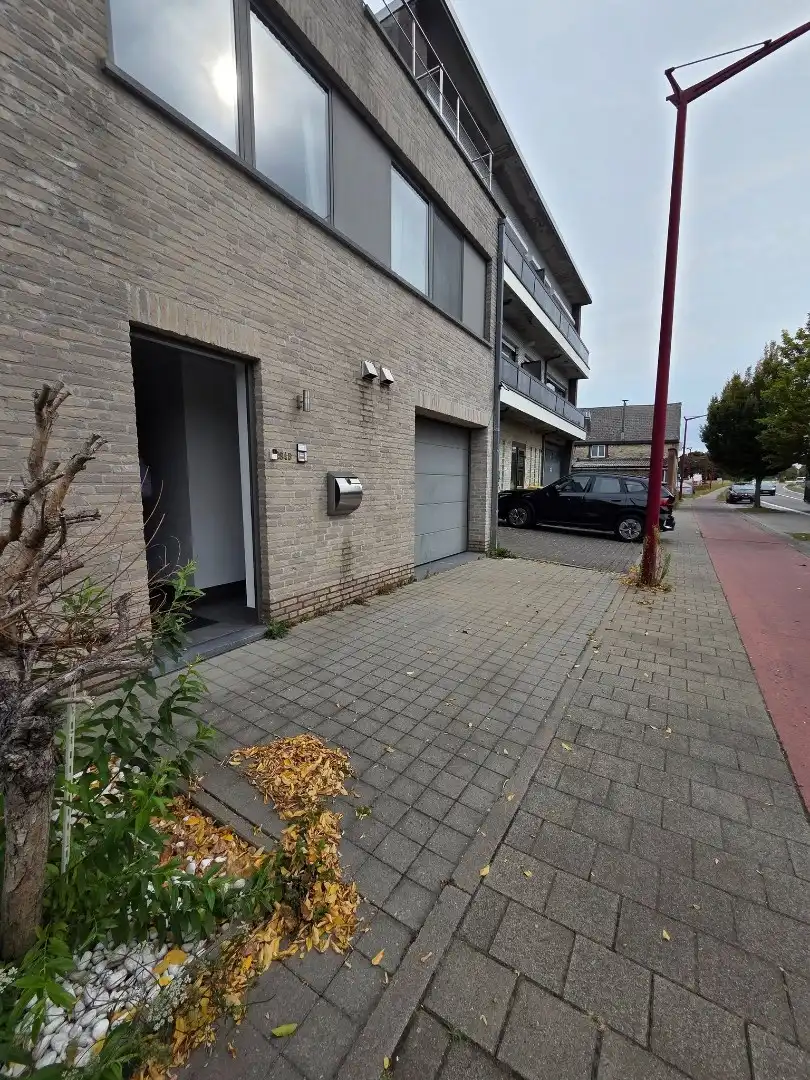 Hier zie je ze vliegen 😊  foto 17