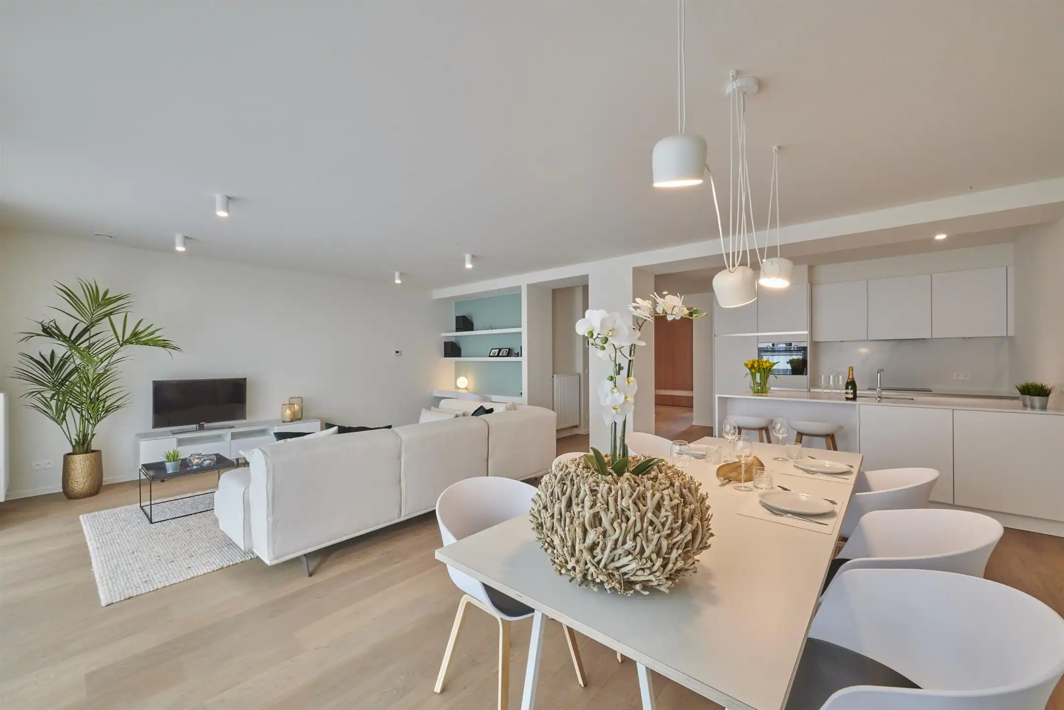 GLORIEUS EN RUIM APPARTEMENT IN DE STAD foto {{pictureIndex}}