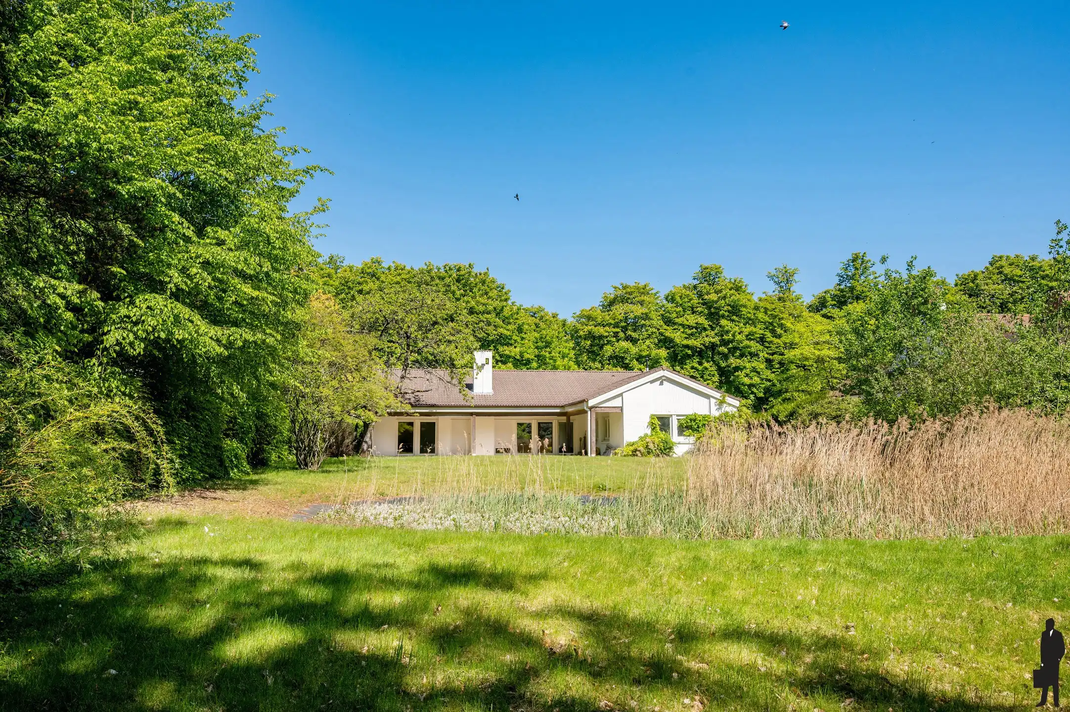 Een volledig te renoveren gelijkvloerse villa (heden kantoor) op ca. 2.438 m² foto {{pictureIndex}}
