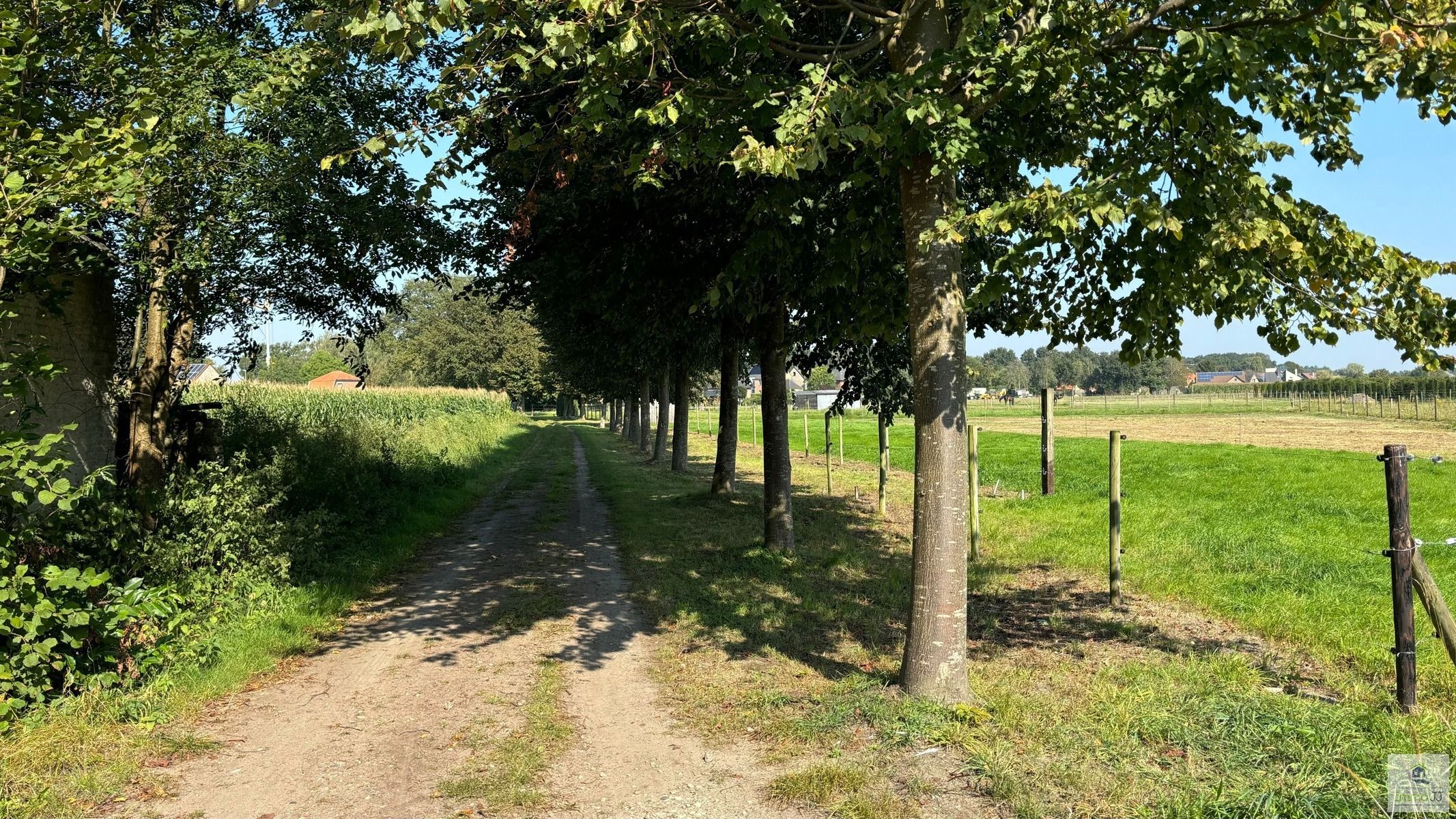 Te renoveren hoeve met weiland foto 2