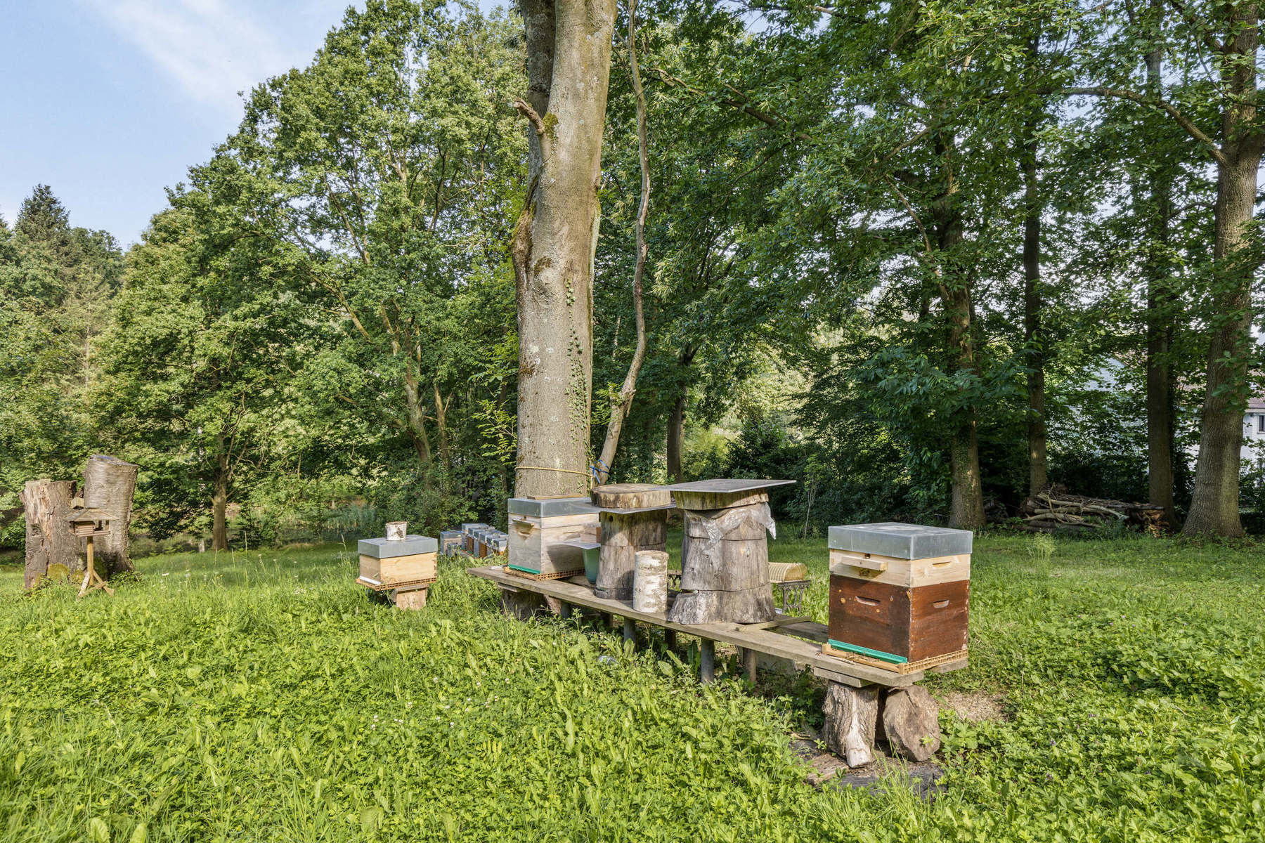 Unieke woning te midden van het prachtige Kamerijkbos foto 29