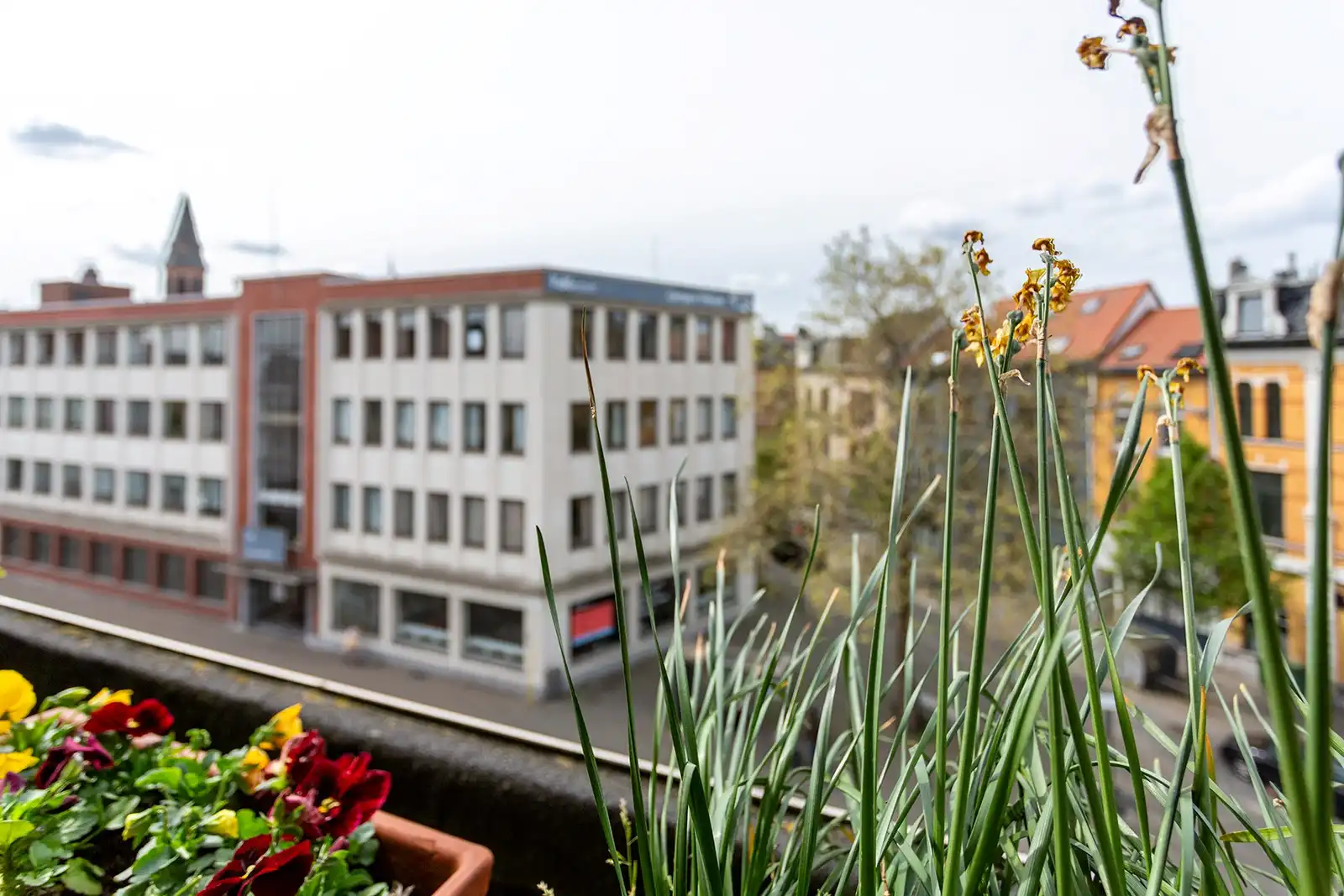 Lichtrijk appartement met terras vlak bij centrum foto 5