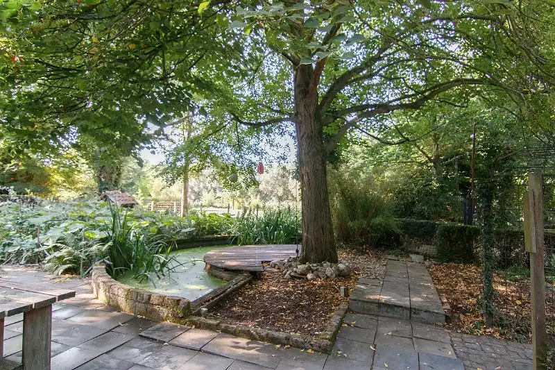 Kom tot rust in deze uitzonderlijk rustig gelegen 'te renoveren' langgevelhoeve op meer dan 2,5 hectaren foto 16