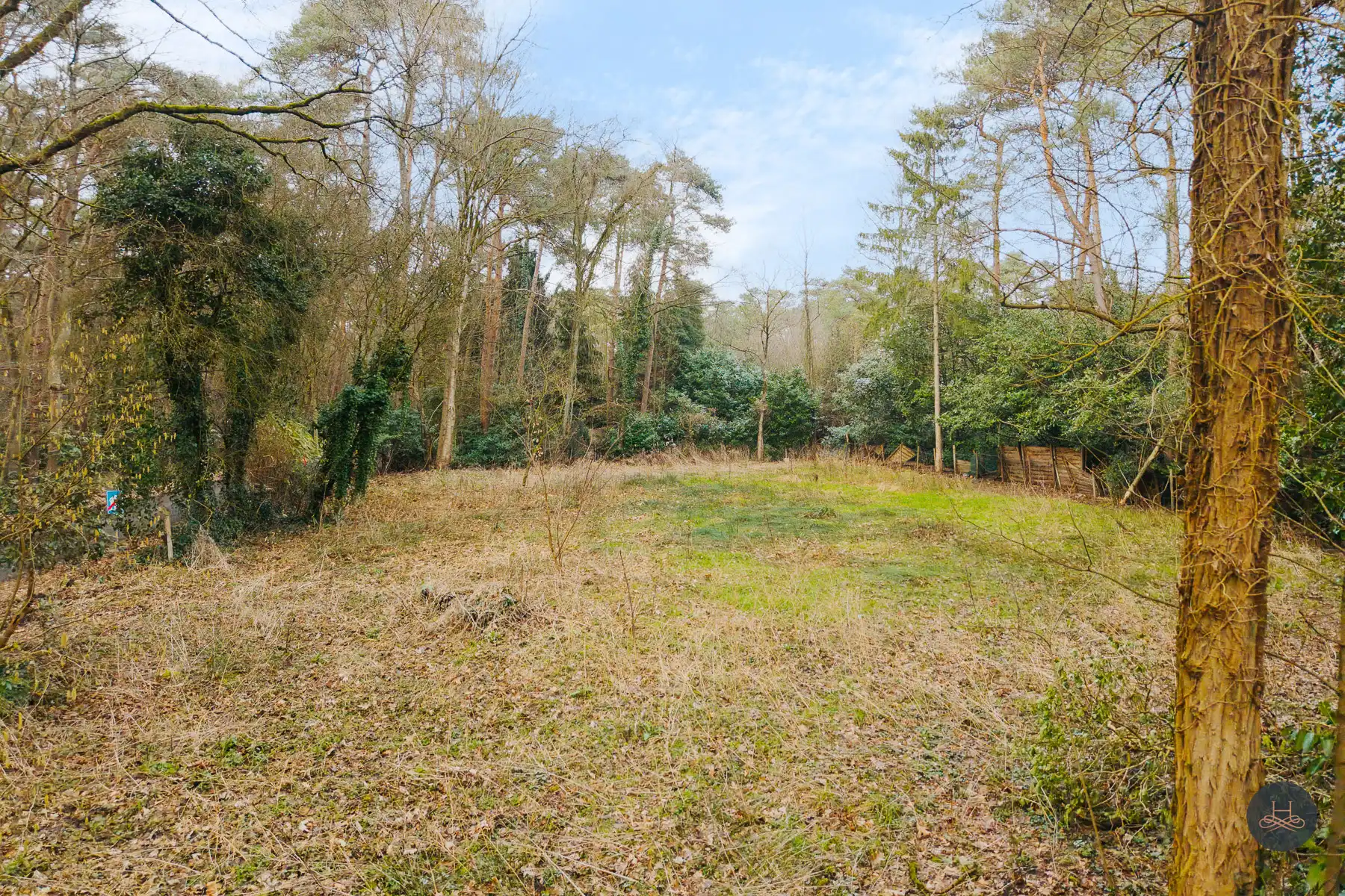 Prachtige bouwgrond van 10 are in bosrijke omgeving in Schilde foto 3