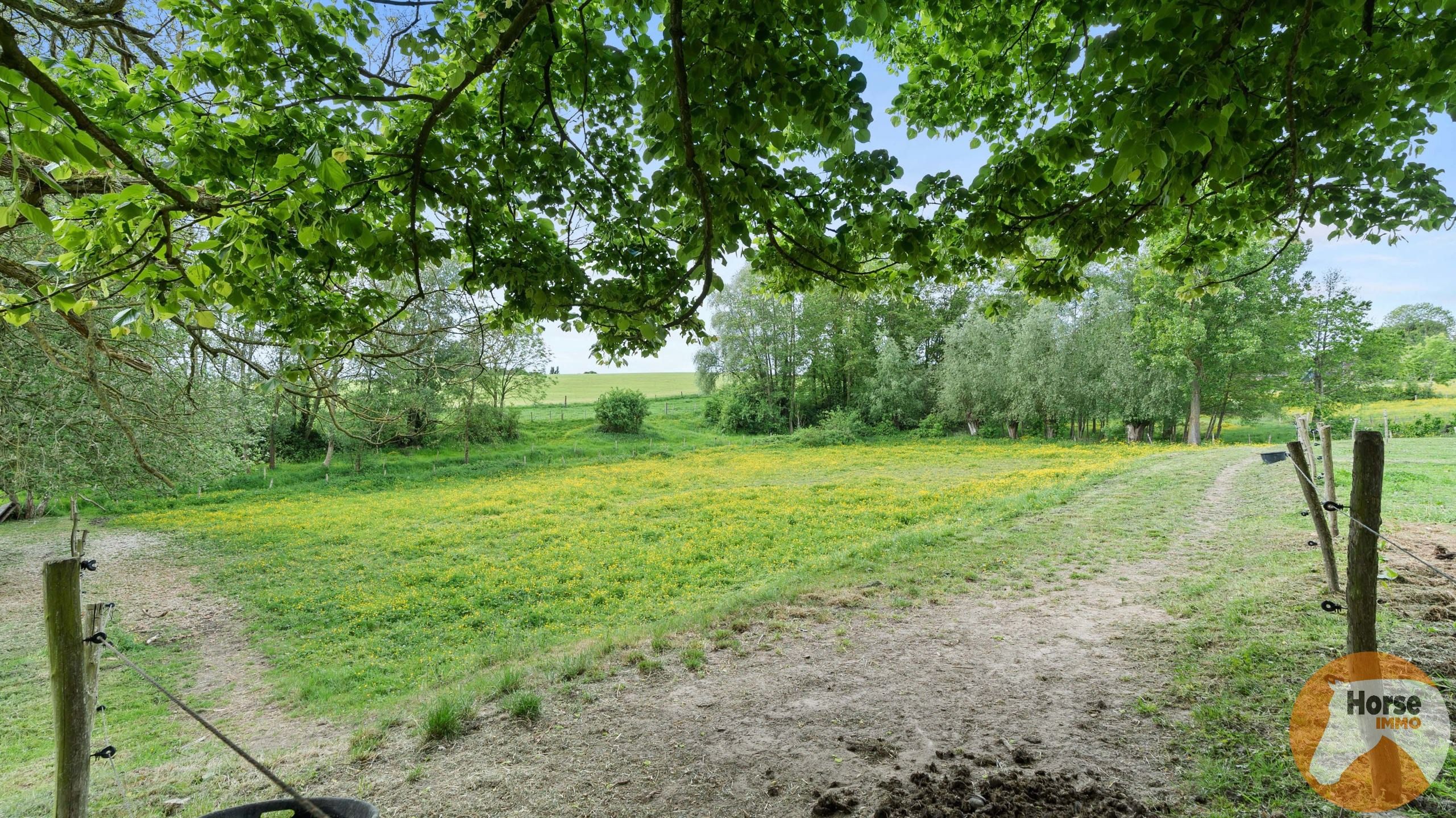 ZOTTEGEM - Hoeve met B&B en stallen op +/- 2,8HA foto 36