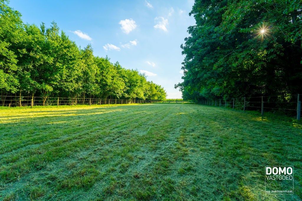 Ruime villa met paardenaccommodatie gelegen te Herk-de-Stad - EPC-label: B - Bewoonbare vloeroppervlakte: 296m² foto 31