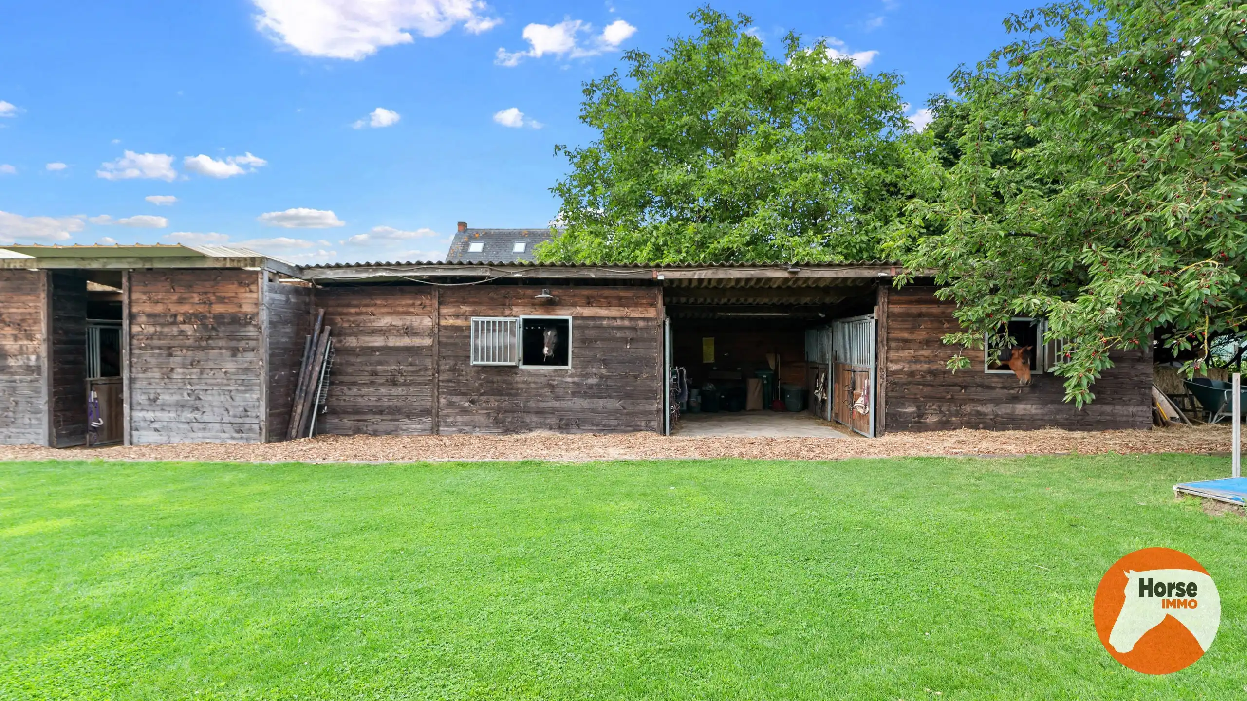 LEDE - Instapklare woning met stallen op 41are foto 27
