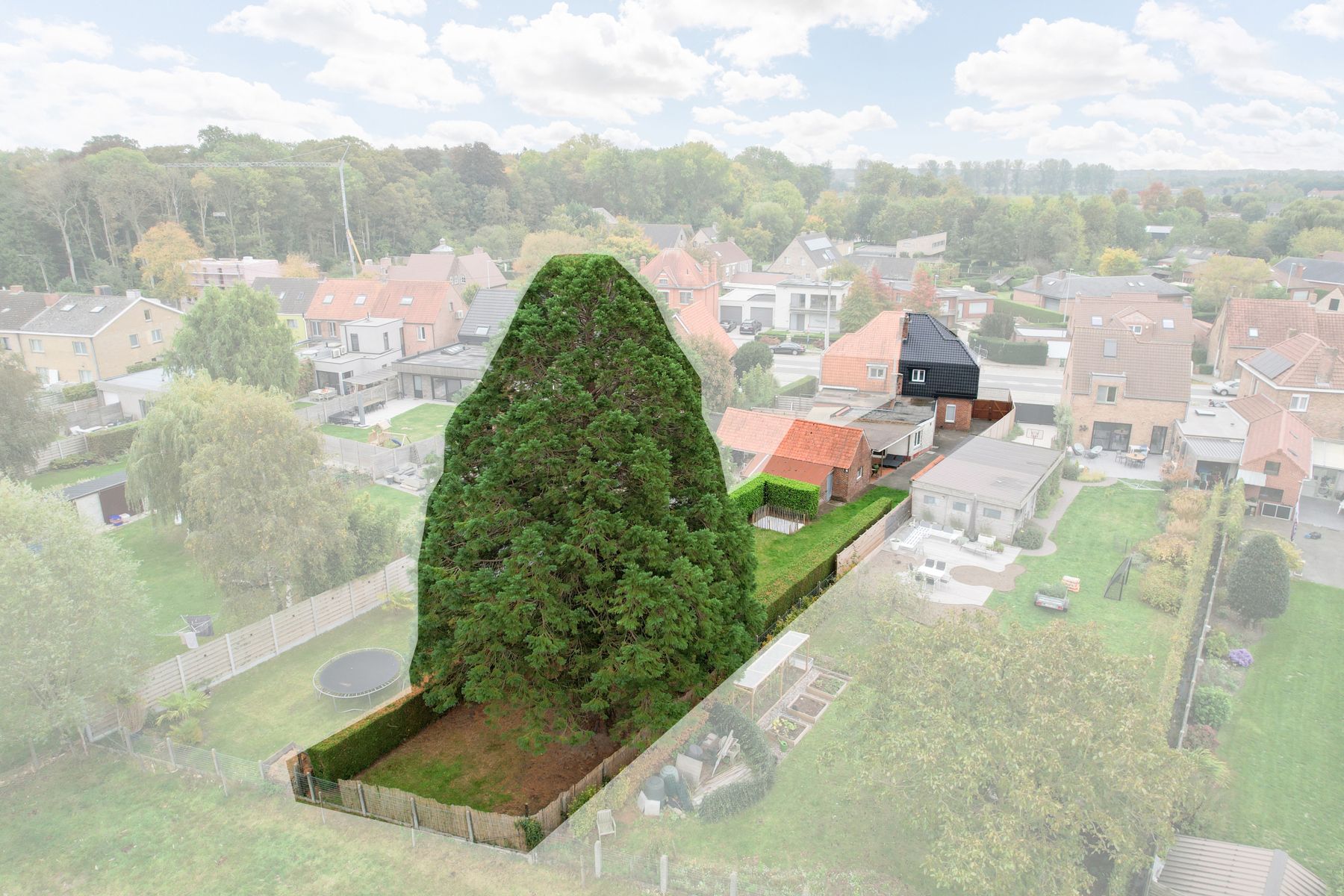 Huis te koop foto 23