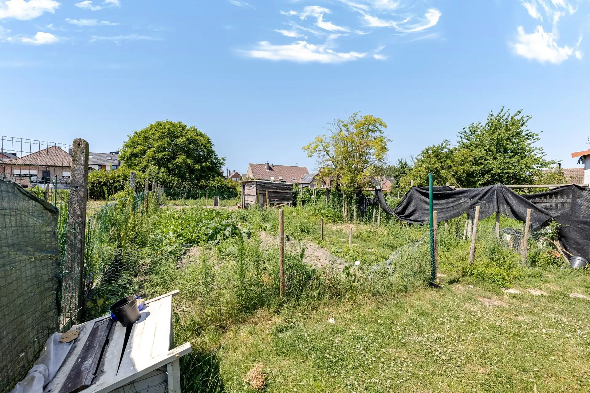 Ruime gezinswoning met grote tuin in Burst foto 16