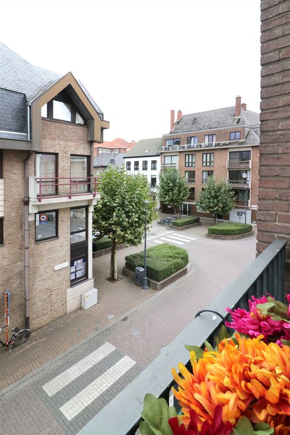 nabij warandepark, authentiek gebouw, label c foto 43