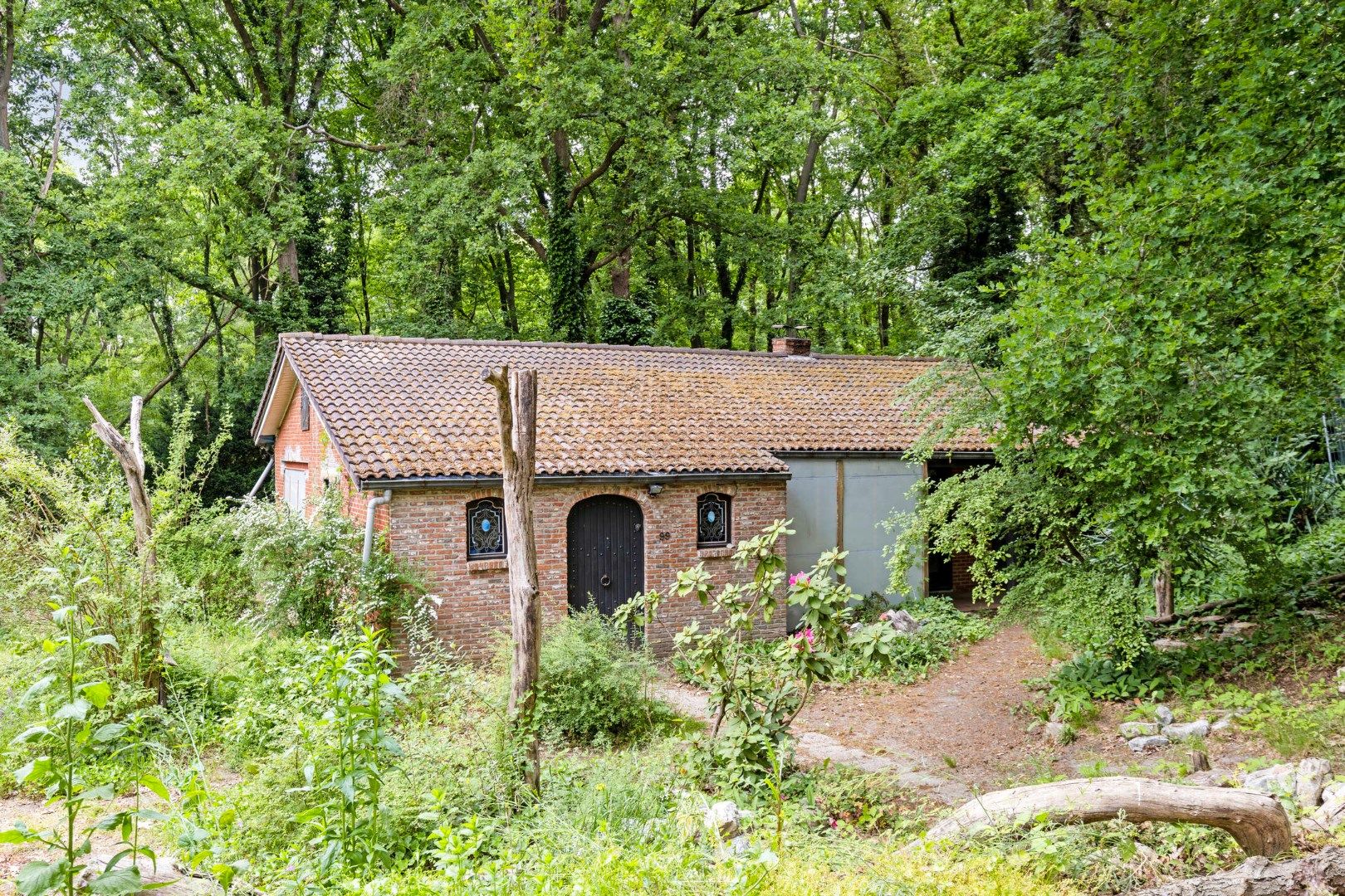 Hoofdfoto van de publicatie: Rustige gelegen woning met veel mogelijkheden in Rotselaar  
