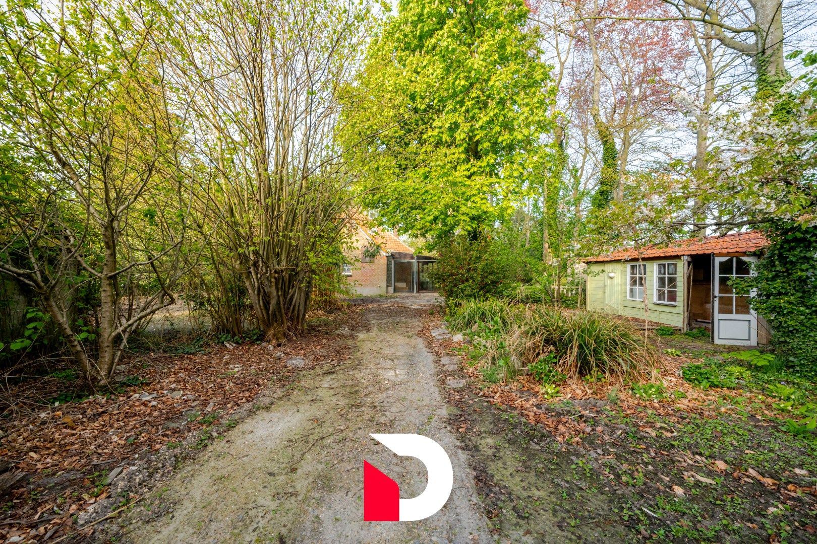 Uniek perceel van 6.448 m² met te renoveren woonst aan Merkenveld bos te Zedelgem  foto 13