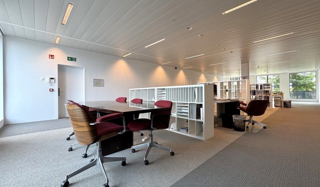 Commercieel gelijkvloers kantoor te koop op 't Eilandje in Antwerpen foto 3