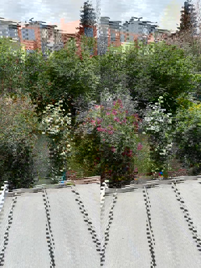 immo DAVID stelt voor: instapklare ééngezinswoning  foto 8