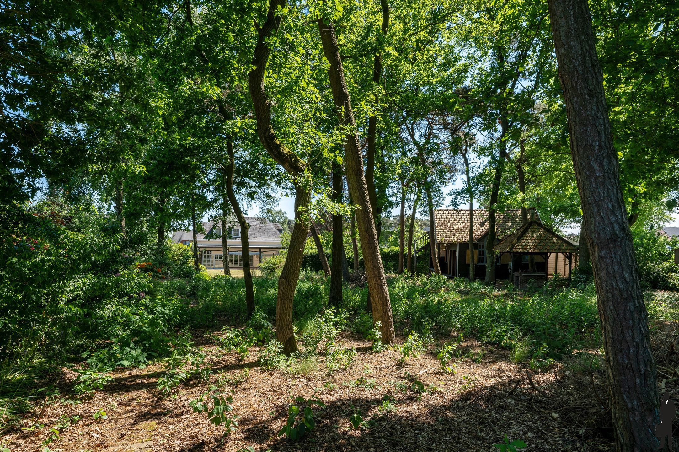 Uitzonderlijk gelegen villa nabij groen op grond van 2.785m² foto 4