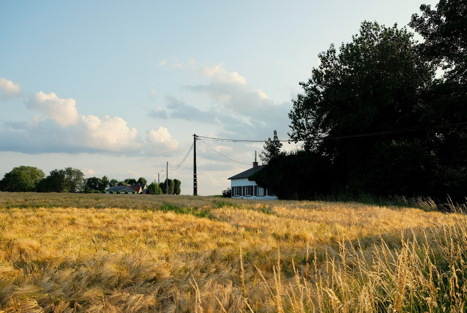 Te renoveren woning op unieke ligging foto 27