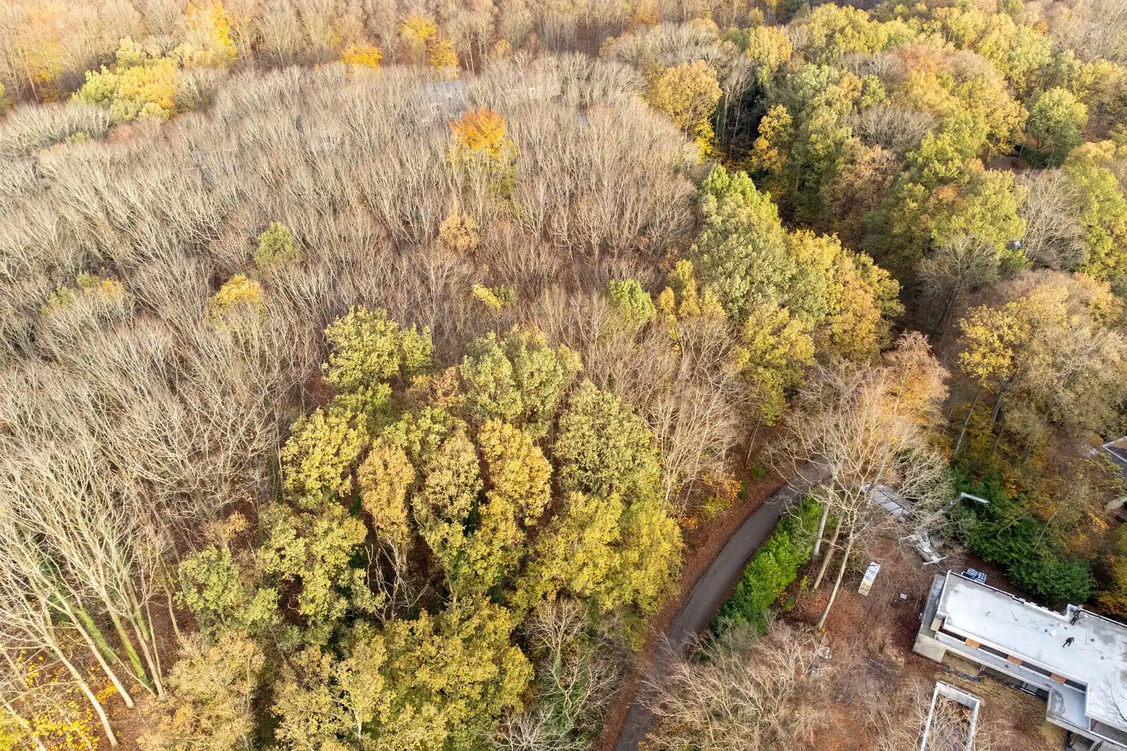 Prachtige bouwgrond van 22a 63ca te koop op een toplocatie in Hoog-Linden!  foto 3