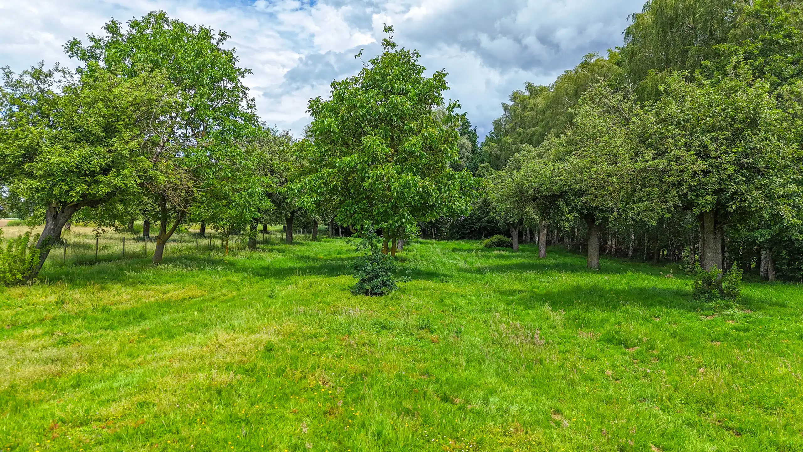Authentieke hoeve met perceel van 68are en 2slpks! foto 54