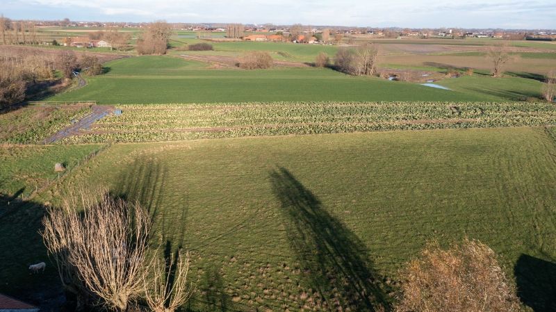 Kortemark: Een exclusief gelegen landgoed te midden van uitgestrekte landerijen op 4 hectare, met bijgebouwen en weideland. Een potentieel paradijs voor paardenliefhebbers of een toeristische onderneming. Een unieke kans! foto 24