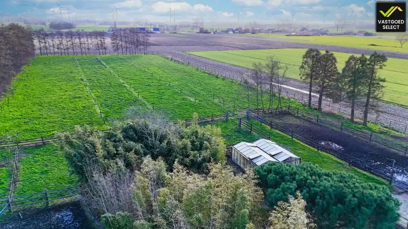 Authentieke hoeve op 13.920 m² met verzicht over de velden foto 6