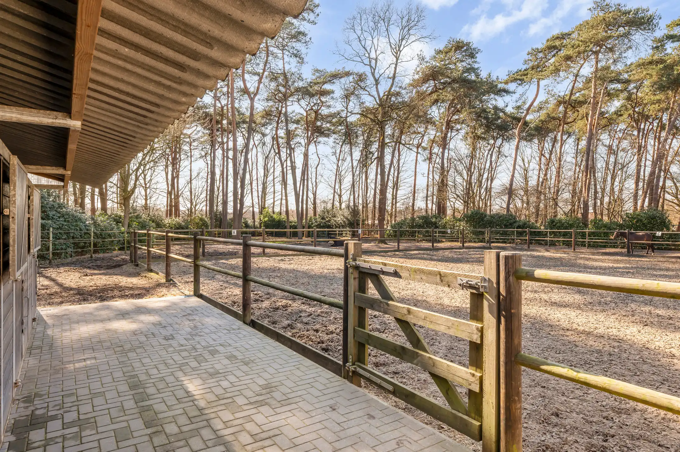 Topvilla met paardenaccomodatie, infinity-pool en 2e woning! foto 58