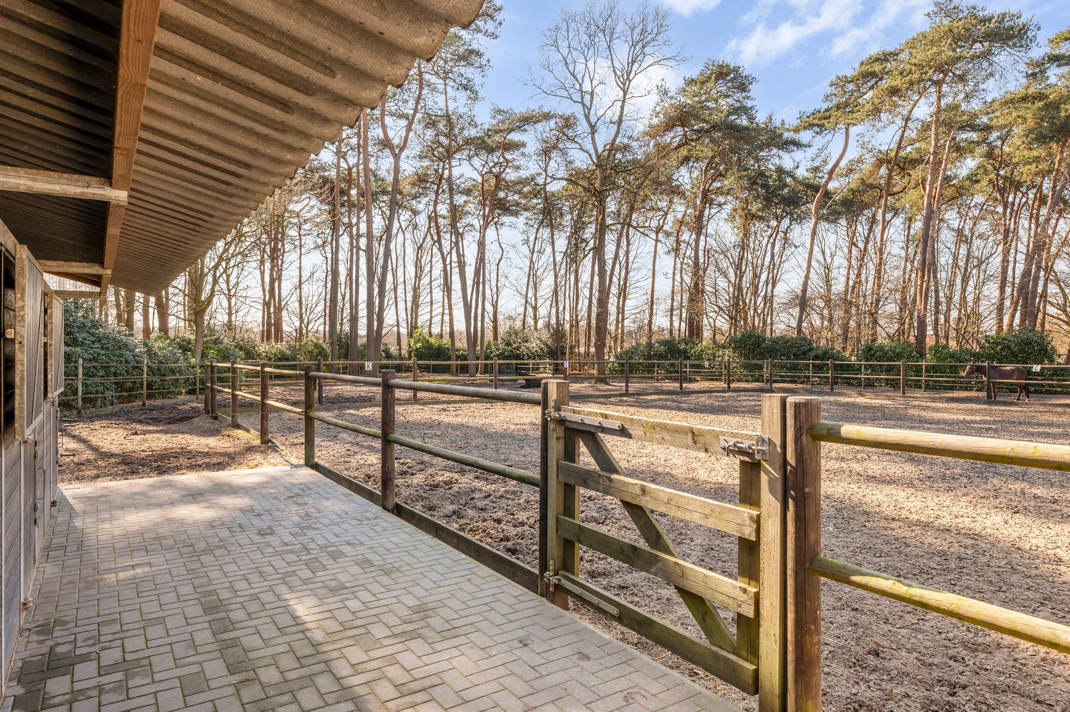 Topvilla met paardenaccomodatie, infinity-pool en 2e woning! foto 58