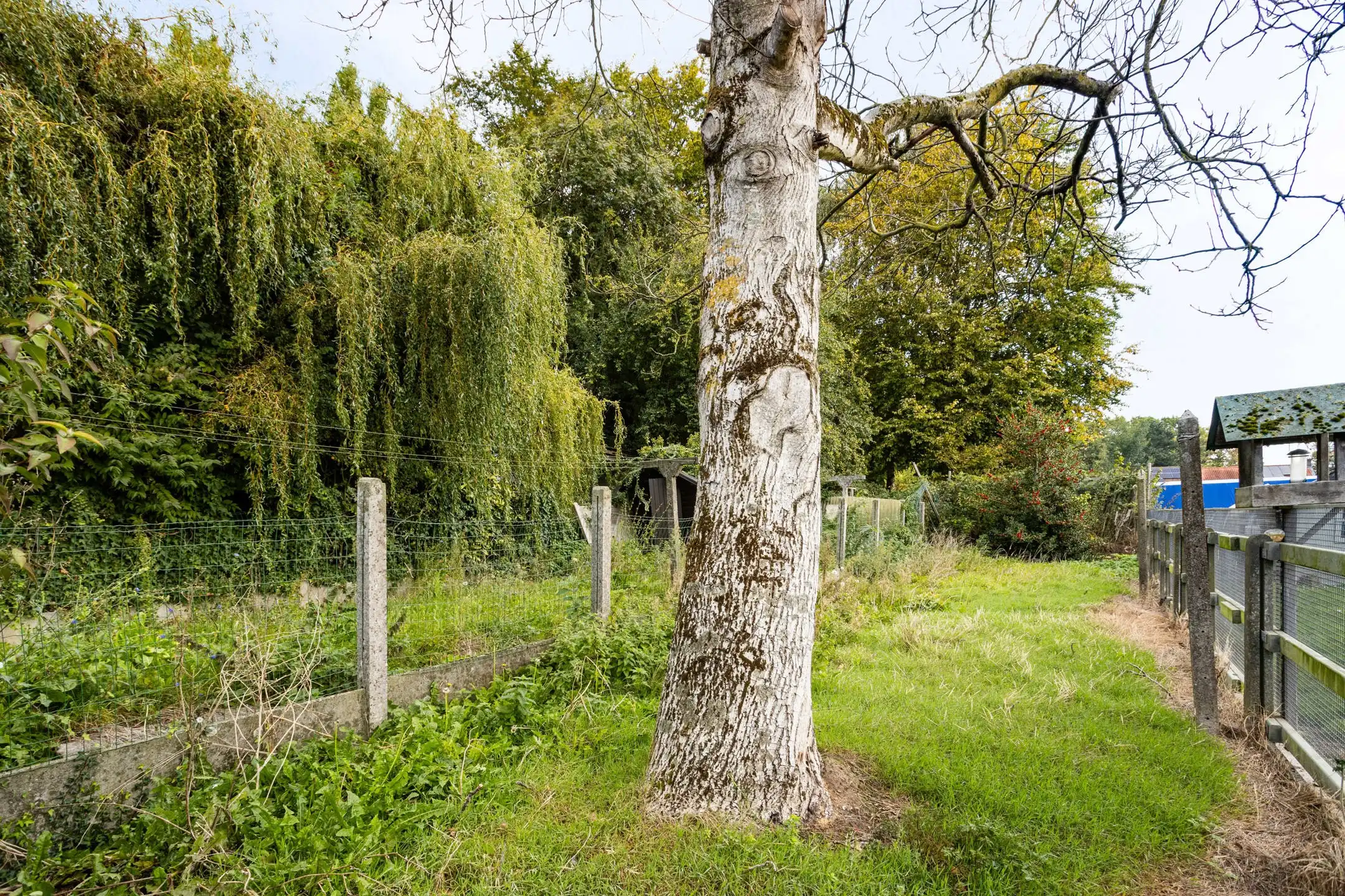 Interessante, te renoveren woning met tuin. foto 11