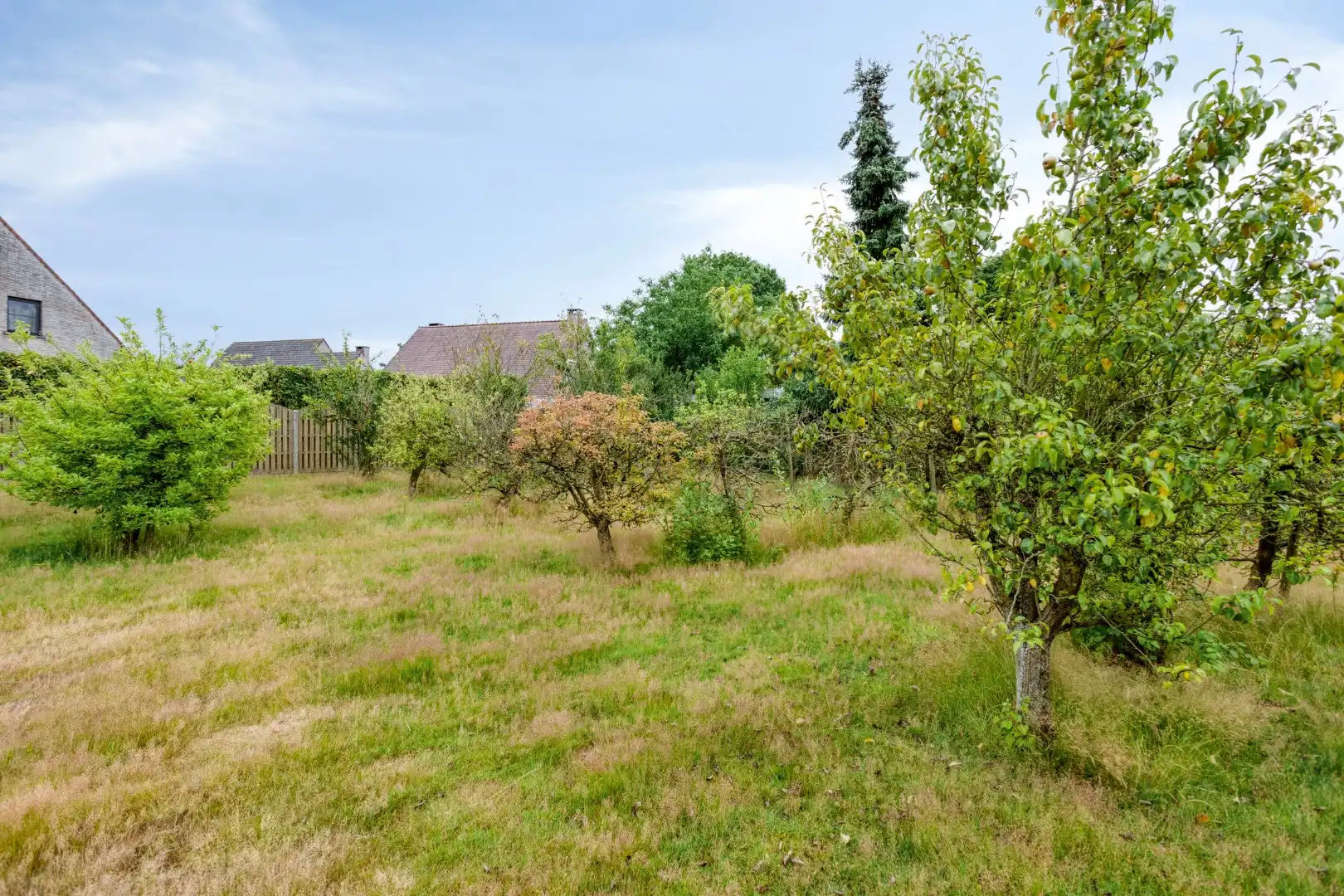 Ruime woning met 3 slaapkamers op een perceel van 1.880 m² te Olen-Centrum ! foto 34