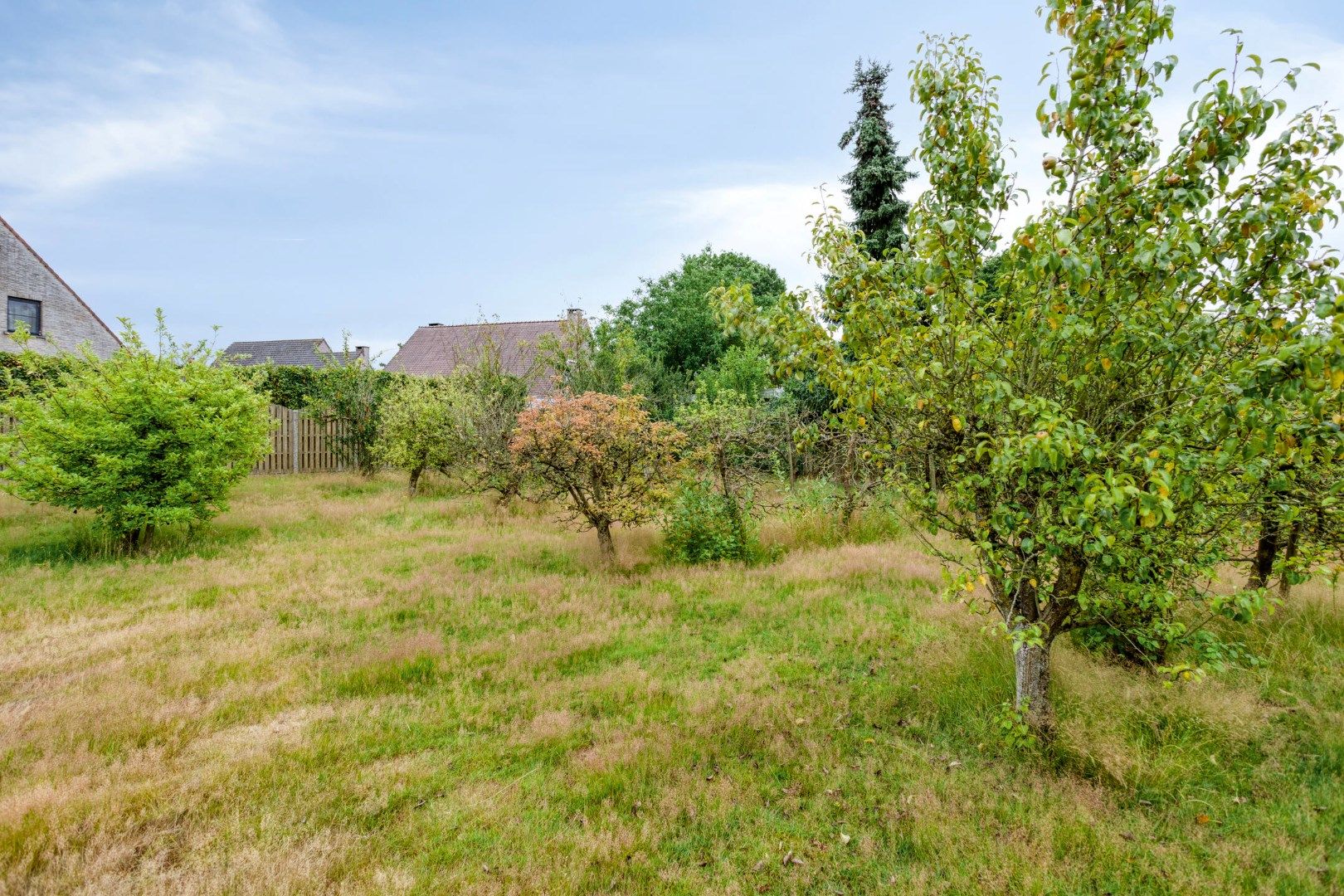 Ruime woning met 3 slaapkamers op een perceel van 1.880 m² te Olen-Centrum ! foto 34