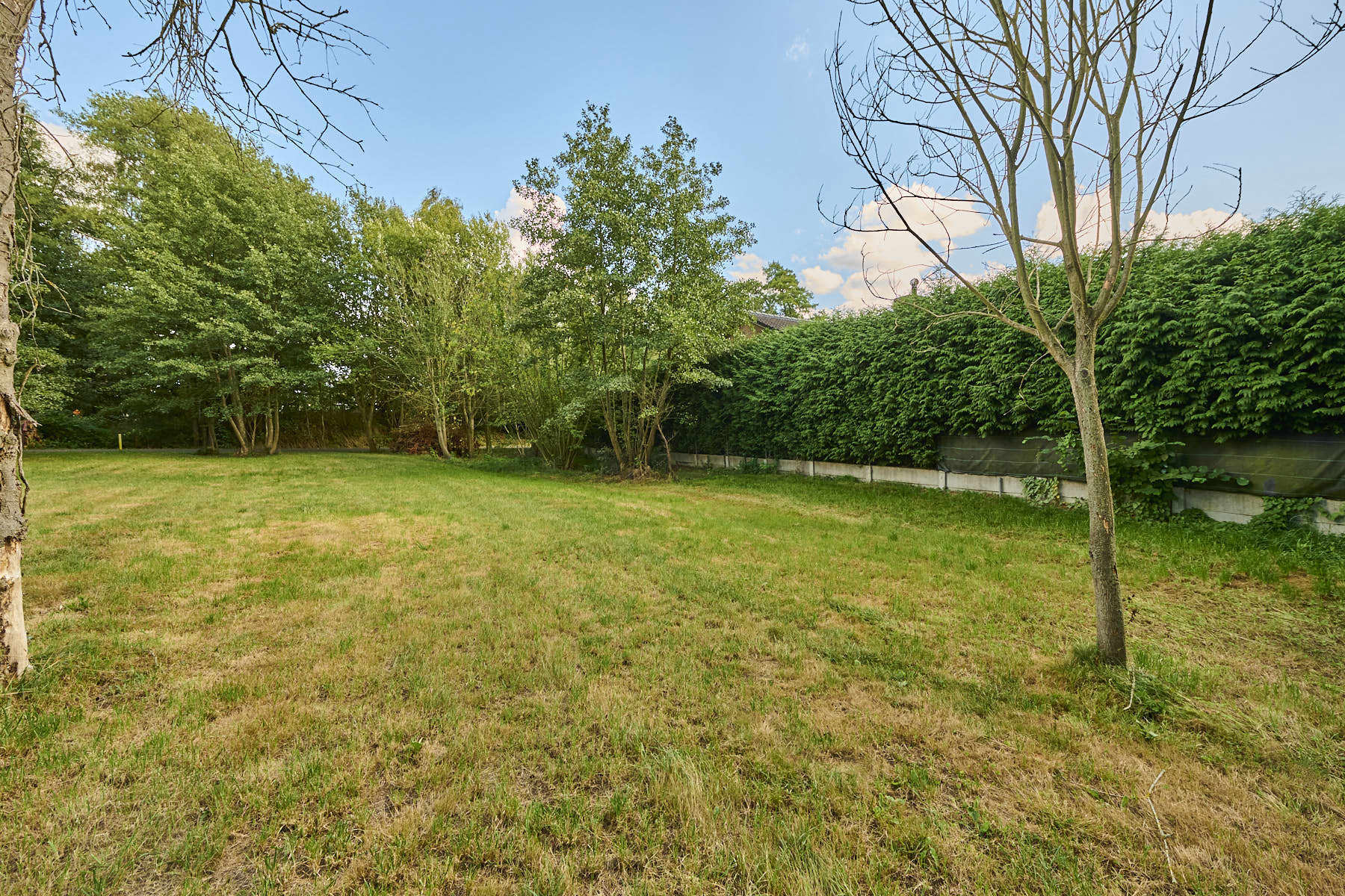 Grond te koop foto {{pictureIndex}}