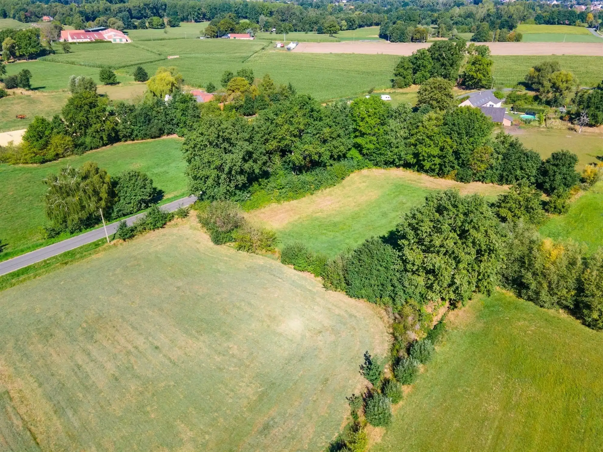 Perceel landbouwgrond te Beerzel - opp. 2547 m² foto 9