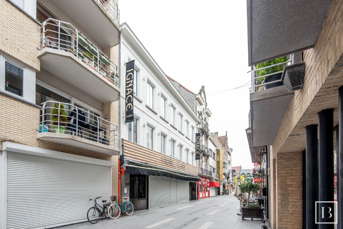 Opbrengsteigendom met 3 appartementen en handelszaak foto 1