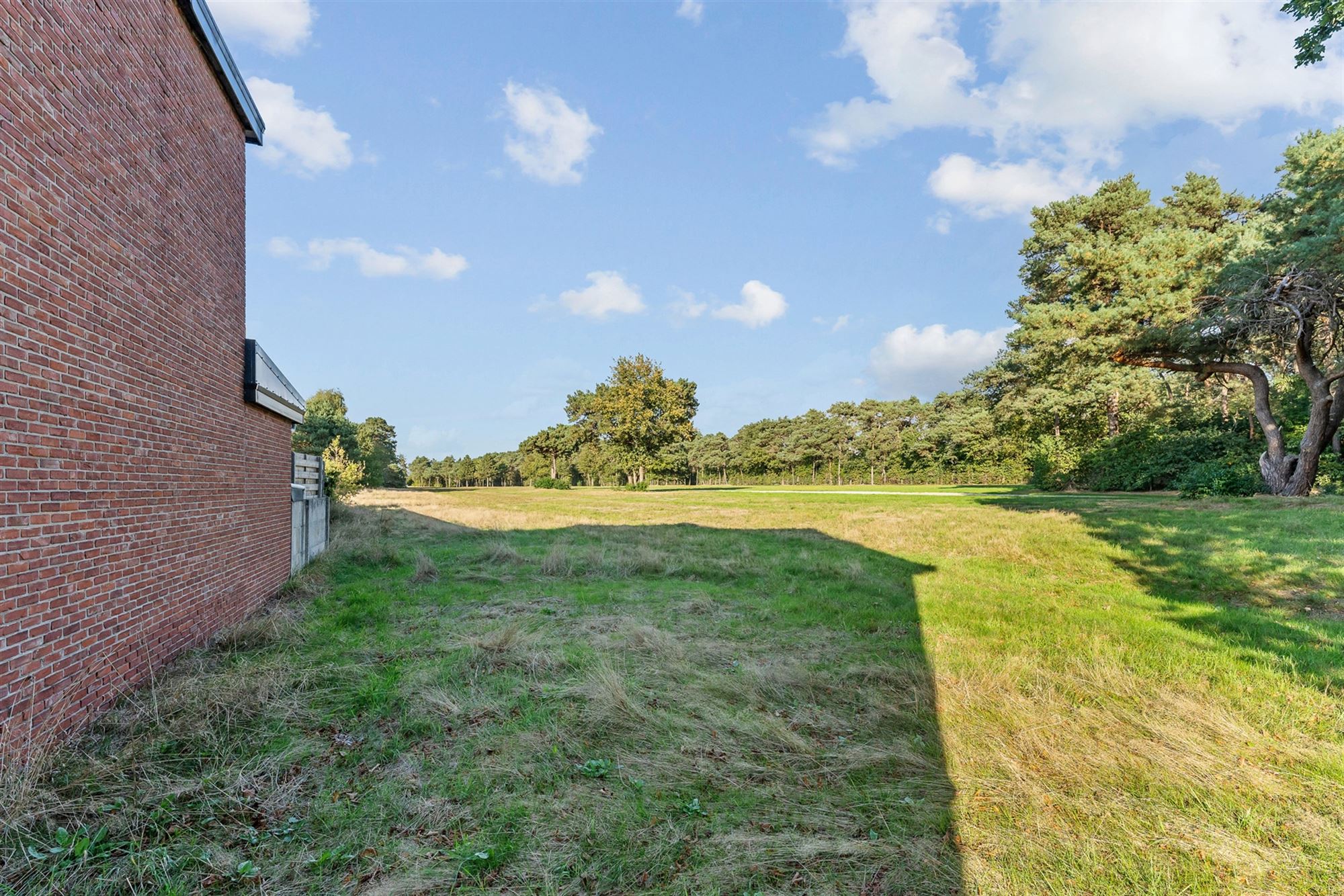 BOUWGROND HOB OP 1384M2 OP UNIEKE LIGGING! foto 7