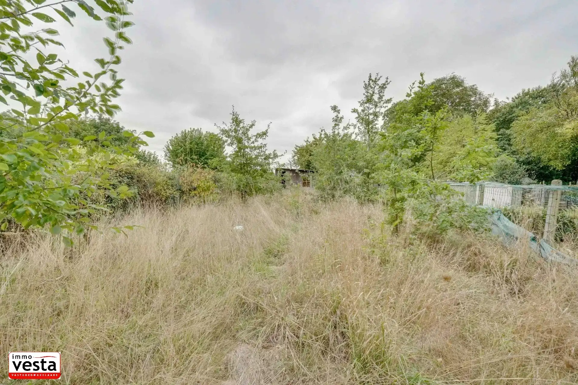 Handelspand met woonst op groot perceel foto 18