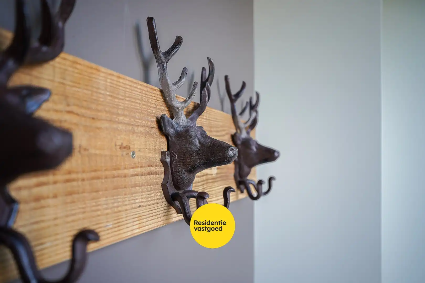 Open bebouwing te koop met uniek potentieel! foto 6