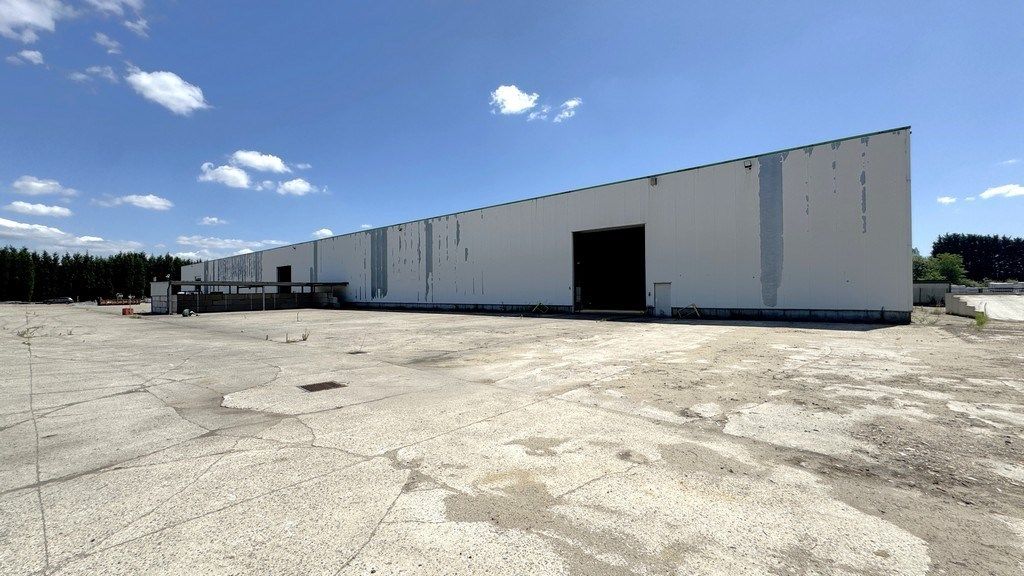 Loods met 1 hectare buitenopslag te huur in Rumst foto 10