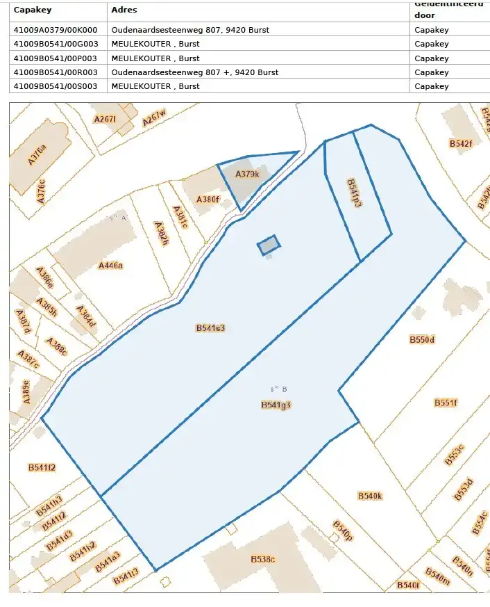 Unieke eigendom met parking & tal van mogelijkheden op een commerciële toplocatie foto 4