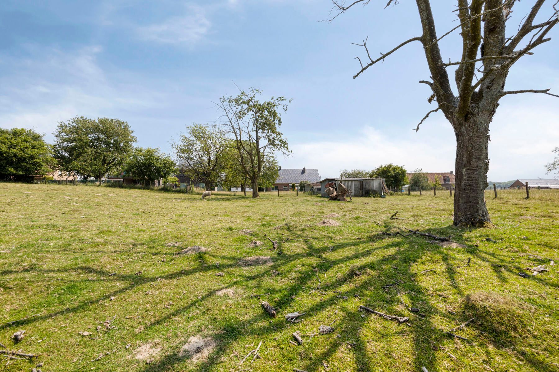 Ruime gezinswoning met garage, veel licht en mogelijkheden tot 6 à 7 kamers, kangoeroewoning of vrij beroep, vlak bij kasteelpark Ter Rijst. foto 36