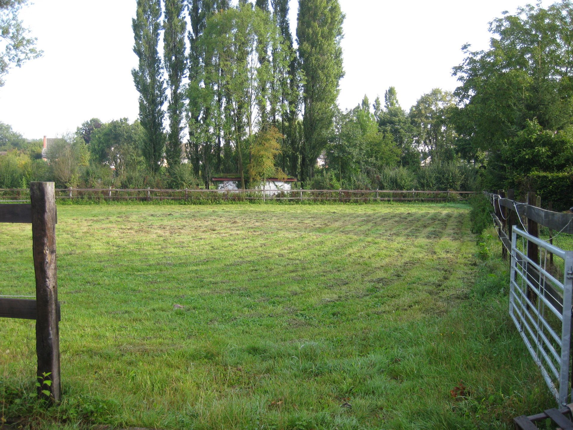 Robuuste karaktervolle woning met loods en weide  foto 19