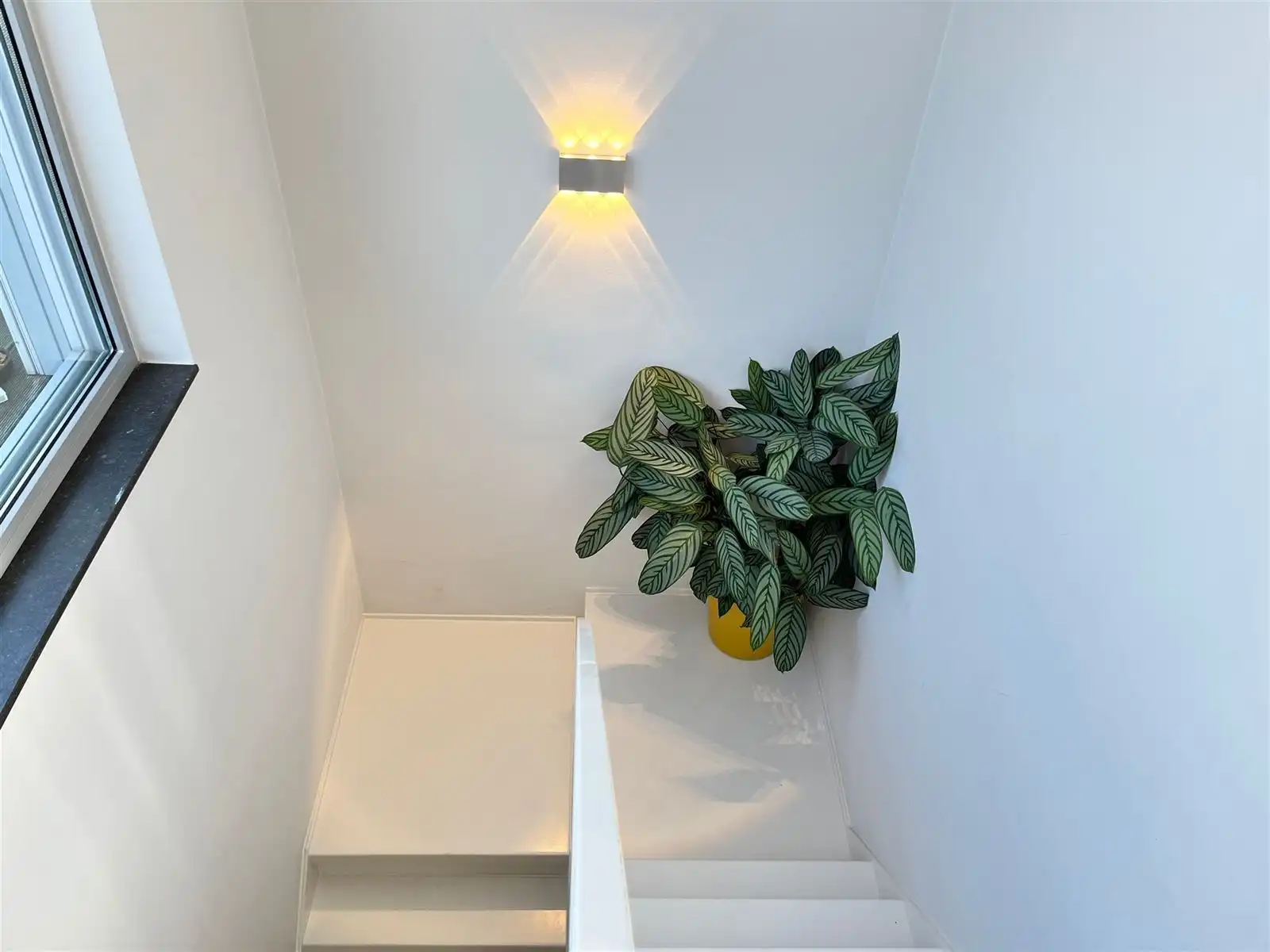 Duplex/Penthouse foto 12